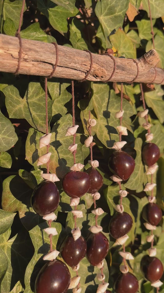 Macadamia shell hanger