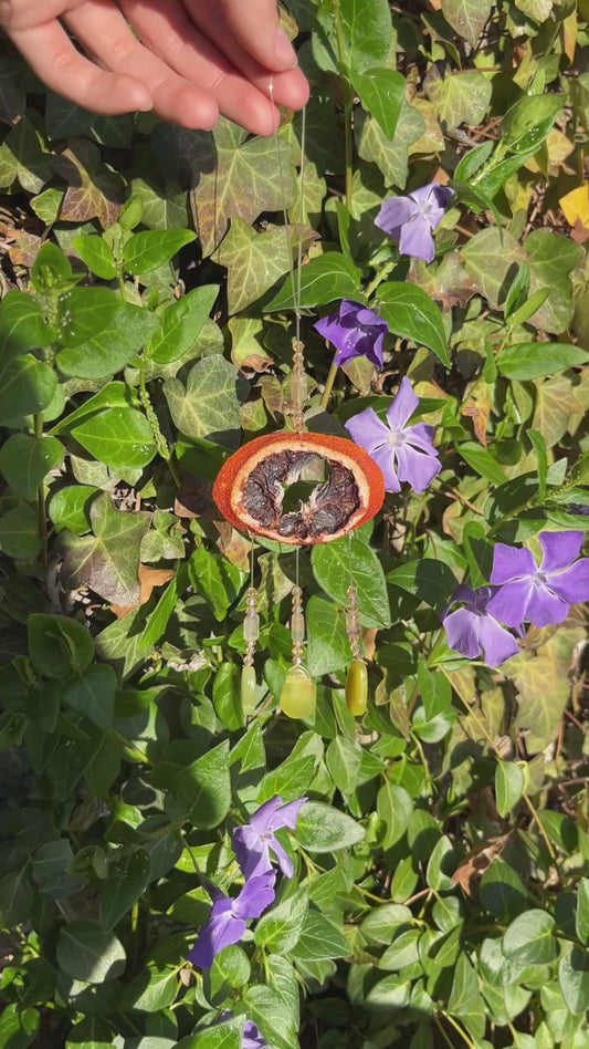 Blood Orange Sun catcher